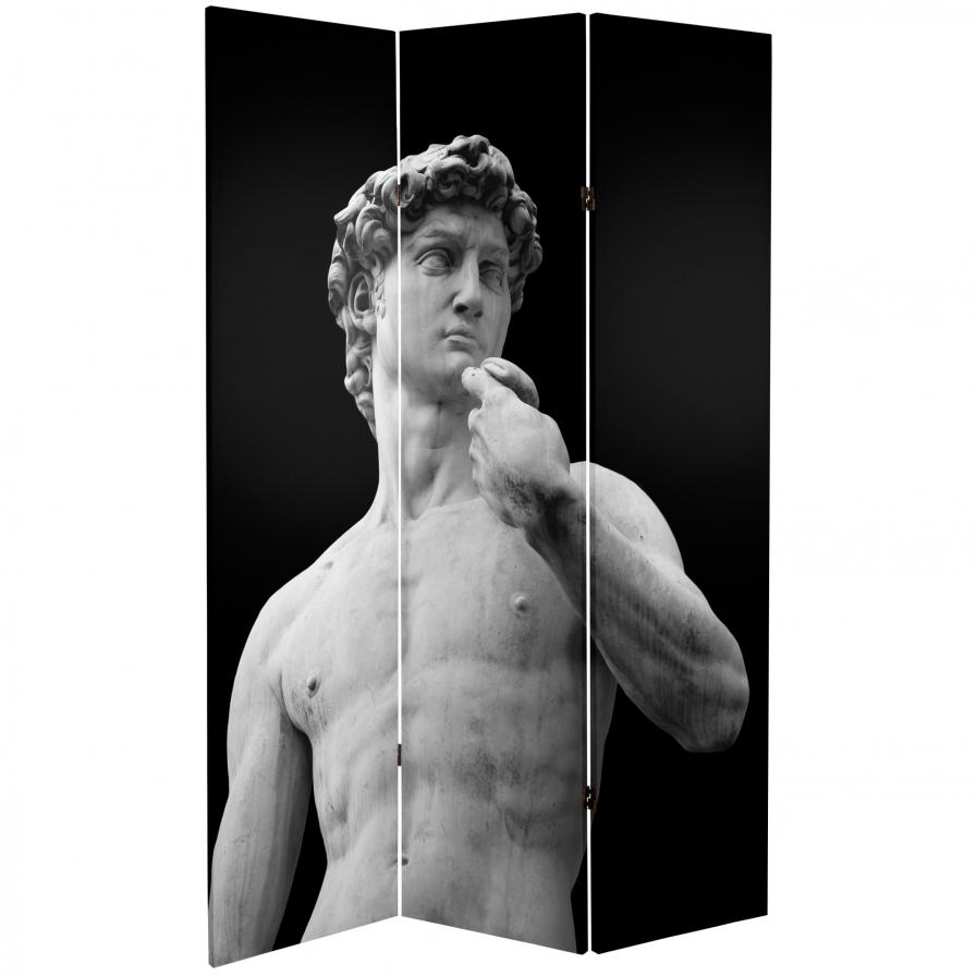 6 ft. Tall Double Sided Coliseum and David Canvas Room Divider 6 ft. Tall Double Sided Coliseum and David Canvas Room Divider
