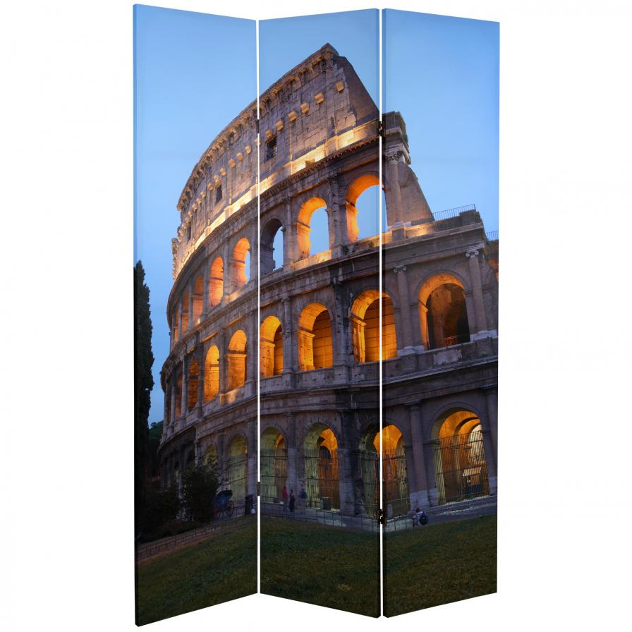 6 ft. Tall Double Sided Coliseum and David Canvas Room Divider